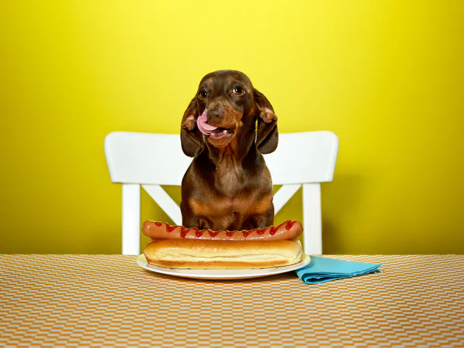 Jo Sax Unsuitable Foods 