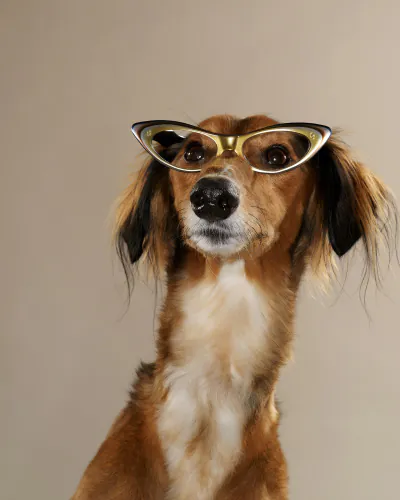 Jo Sax Portraits set5 062