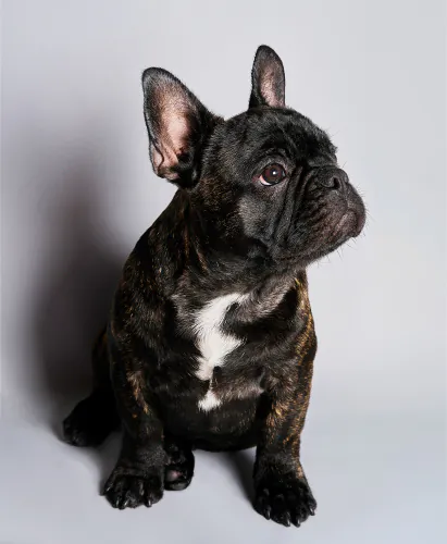 Jo Sax The Telegraph magazine 