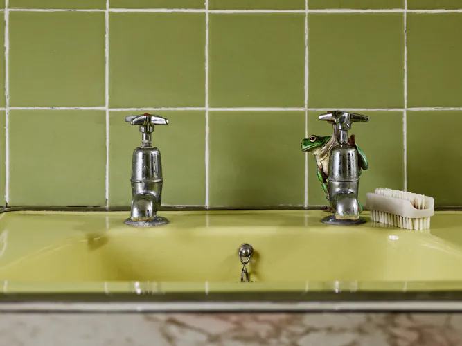 Jo Sax Avocado Bathroom 