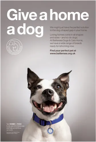 Jo Sax Battersea Dogs and Cats Home 