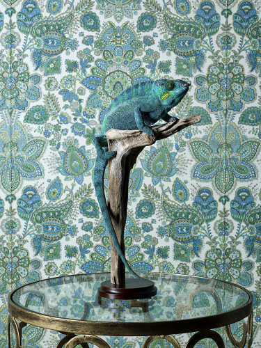 Jo Sax Unusual Pets 